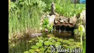 Deel Kleine vijver