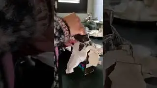 Hello Subscribers welcome to my new channel,my first vlog,D Mart shopping 🛒,daily routine 