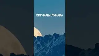 ЛУНАРЫ: покажут будущее.