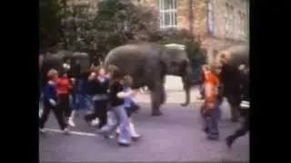 Elephants in Birkenhead Park, a Ladybird Plague in Wirral and a Royal Visit to Liverpool