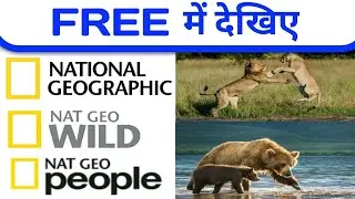 Nat Geo Wild Add On Free Dish||National Geographic Free To Air
