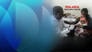 Un premier vaccin contre la malaria approuvé par l’OMS