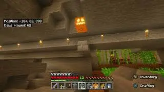 Silent Minecraft Survival | Day 62 &ndash; Lighting Joke Continues & Vine Entanglement (No Commentary)