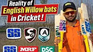 Reality Of English Willow Bats in Cricket ⚠️‼️