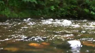 Natural Atmospheric ASMR  3D SOUNDS