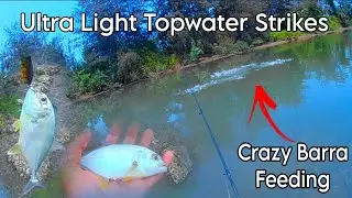 Missed A Good Fish While Catching Trevallies On Mini Topwater | Ultra-Light Fishing Goa| King.Fisher