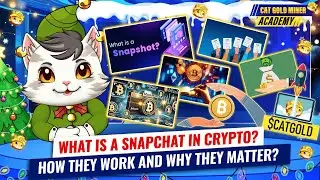 What is a Snapshot in Crypto? How They Work and Why They Matter? ⚡️CAT GOLD MINER ACADEMY