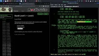 OverTheWire - BANDIT Level 5 - 6 | Folosire FIND si puterea manualului MAN | Barbos Security #7