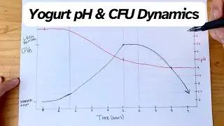 Yogurt pH & CFU Dynamics