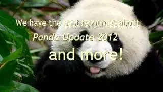Panda Update 2012 - It's Time For The Penalty Recovery Method