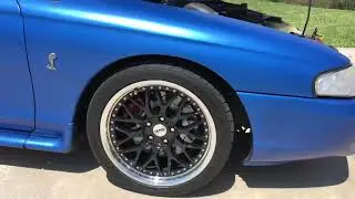 Terminator swapped 98 Cobra