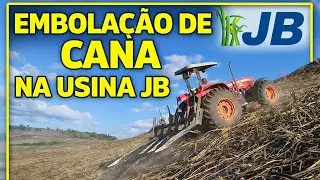Embolação De Cana De Açúcar e Seus Desafios Em Área Crítica 