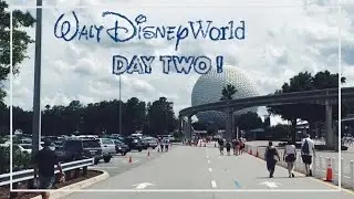 Disney World - Day 2 AK & Epcot | BroomBroom