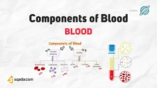 Blood | Components of Blood | Cell Biology | Physiology of Blood and Immune System