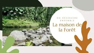 La Maison de la Forêt