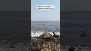 Beautiful Beach View🏖️#shorts #shortsfeed #beach #beautiful #goa #beachview #nature #ytshorts #yt