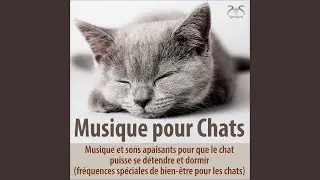 Rock a Bye Kidden : M&eacute;lodie onirique d'endormissement pour le chat - fr&eacute;quences de bien-&ecirc;tre...