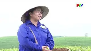 Nông dân Đất Tổ khát vọng làm giàu