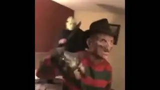 Me duermo con mis aud&iacute;fonos puestos mis Pesadillas 😂😂😂😂