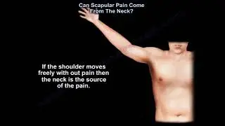 Neck pain or shoulder pain,  can we differentiate the pain?