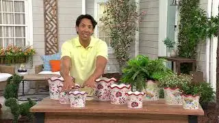 Temp-tations Outdoor Centertaining S/3 Garden Critter Planter on QVC