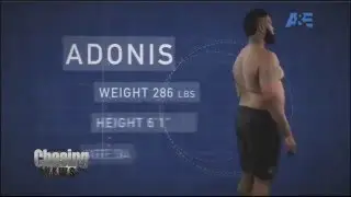 Fit To Fat