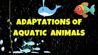 Adaptation in Aquatic Animals | Aquatic animals adaptation | Adaptation in animals | #goalon