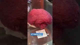 Rubelite Tourmaline #Rubelite #Tourmalines #mineralogy #minerals #crystals