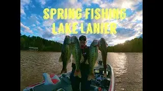 Spring Fishing Lake Lanier