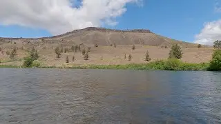 Euro Nymphing the Salmon Fly Hatch May 19th, 2025