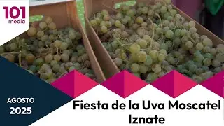 🔴 Fiesta de la Uva Moscatel de Iznate | Andalucía fiestas singulares