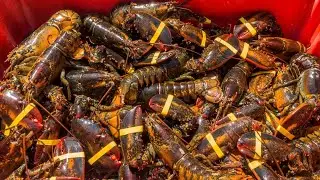 $400,000 worth of lobster stolen on way to Costco stores