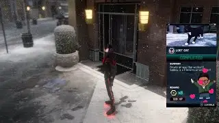 Lost Cat Activity Walkthrough Marvel's Spider-Man: Miles Morales