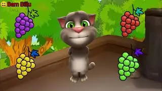 Talking Tom Eating colour full grapes 🍇😂 full funny video @bambillu3155