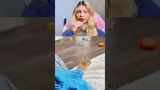 Vs o MEU