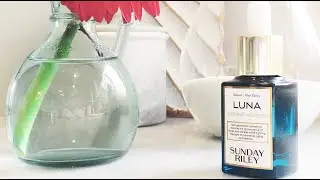 My Super Simple Evening Skincare Routine with Sunday Riley's Luna Oil || Our Beauty Collective||