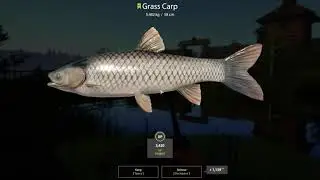 Russian Fishing 4 Old Burg Lake Grass Crap 5.482 Kg