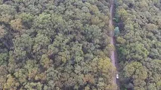 20190712 Bunyip State Park