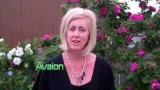 Top Ten Online Psychic Networks - Omega Psychics