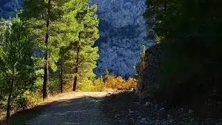 ADANA'NIN SAKLI CENNETİ! 🌲 BELEMEDİK Tabiat Parkı'nda B&uuml;y&uuml;leyici Bir Doğa Y&uuml;r&uuml;y&uuml;ş&uuml; VLOG