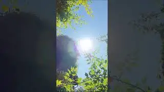 DJI Avata 2 - Visite du jardin