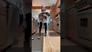 Pet Pig Using Interactive Buttons