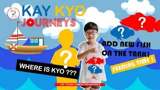 KAYKYOJOURNEY VIDEO 06   ADD NEW FISH ON THE TANK!