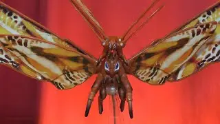 Playmates GODZILLA X KONG Mothra Figures | Divine or Bugged Out? quick review