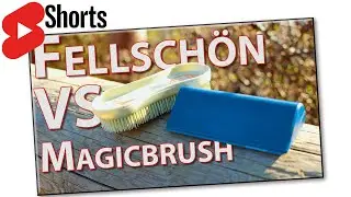 Ist die MAGICBRUSH ihr Geld wert? 🔝