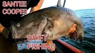 SUMMER DEEP WATER DRIFTING FOR CATFISH ( SANTEE COOPER )