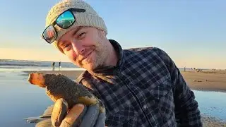 NYE Clam Dig #clamming #sunset #pacificocean #epic