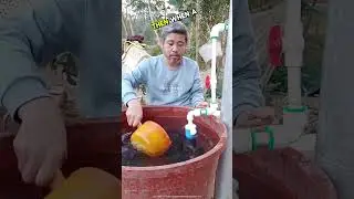 Волшебная пробка для воды ✨