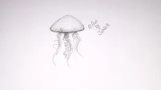 Simple Jellyfish Pencil Sketch Drawing &mdash; Aesthetic Line Art | Art by Jakia.