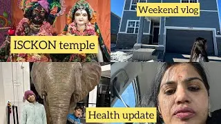 Indian Mom of 2 kids | life in America | ISCKON temple Kirtan | outdoor fun | health update |